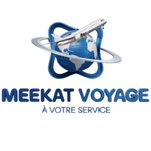 cropped-meekat_voyage_logo-300×300